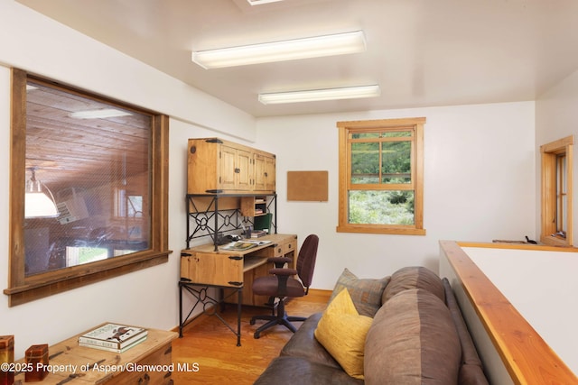 5548 Frying Pan Rd, Basalt, CO 81621 - office with light wood finished floors
