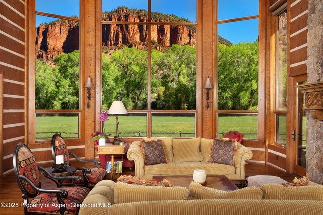 5548 Frying Pan Rd, Basalt, CO 81621 - sunroom / solarium with wood finished floors and healthy amount of natural light