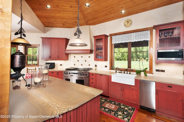 5548 Frying Pan Rd, Basalt, CO 81621 - kitchen with appliances with stainless steel finishes, wooden ceiling, plenty of natural light, dark wood-type flooring, and light countertops