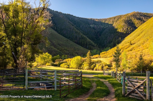 5548 Frying Pan Rd, Basalt, CO 81621 - view of mountain backdrop featuring a forest and rural landscape