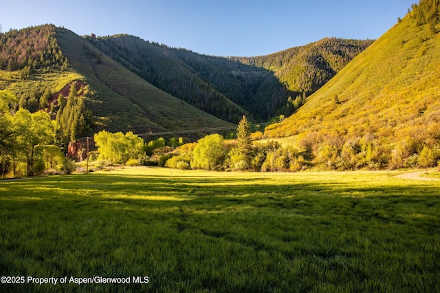 5548 Frying Pan Rd, Basalt, CO 81621 - mountain view