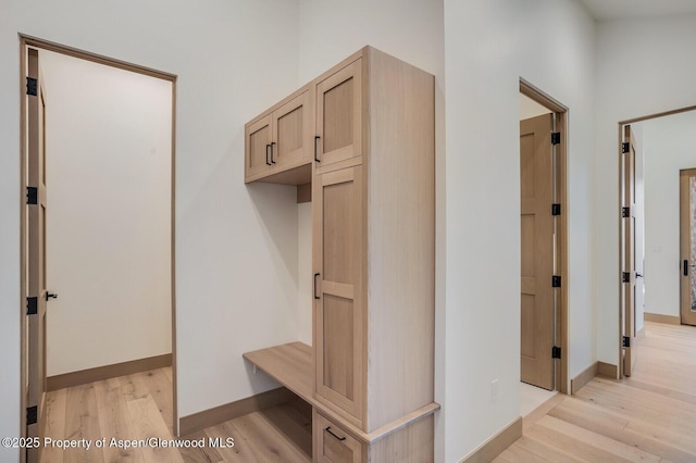 112 Bowles Dr, Carbondale, CO 81623 - mudroom with light wood-type flooring and baseboards