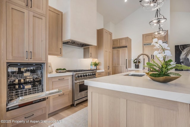 112 Bowles Dr, Carbondale, CO 81623 - kitchen with high quality appliances, a sink, light brown cabinetry, premium range hood, and high vaulted ceiling