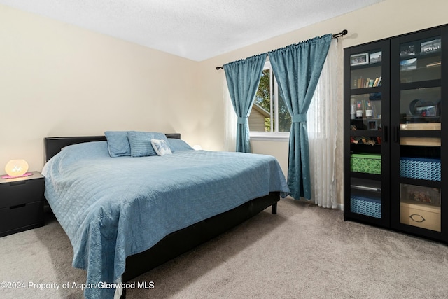 bedroom featuring light carpet and a textured ceiling