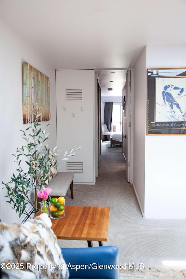210 E Cooper Ave Unit 3E, Aspen, CO 81611 - photo 7