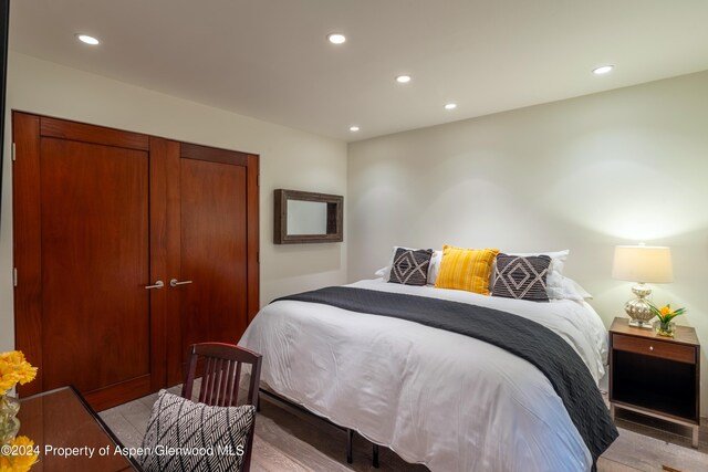 71 Smuggler Grv, Aspen, CO 81611 - bedroom with recessed lighting and light wood-style floors