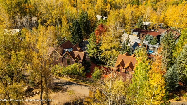 71 Smuggler Grv, Aspen, CO 81611 - view of subject property with a heavily wooded area