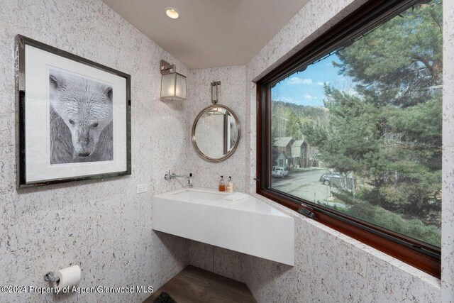 71 Smuggler Grv, Aspen, CO 81611 - bathroom with a sink and recessed lighting