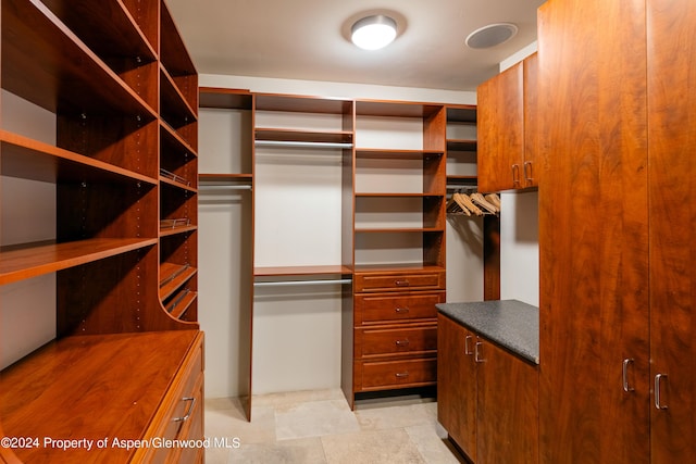 71 Smuggler Grv, Aspen, CO 81611 - view of spacious closet
