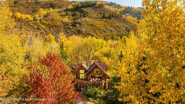 71 Smuggler Grv, Aspen, CO 81611 - view of subject property featuring a forest