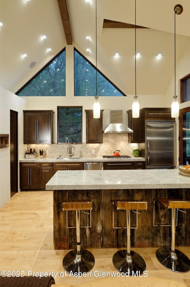 71 Smuggler Grv, Aspen, CO 81611 - kitchen featuring appliances with stainless steel finishes, a sink, wall chimney range hood, light wood finished floors, and dark brown cabinets