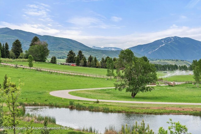 31 E Bourg Trl, Woody Creek, CO 81656 - photo 27