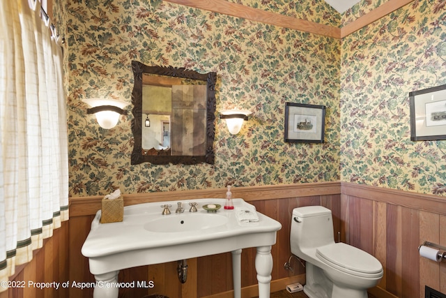 800 Chateau Way, Snowmass, CO 81654 - bathroom with sink and toilet
