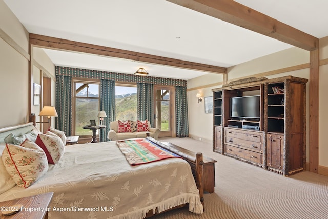 800 Chateau Way, Snowmass, CO 81654 - view of carpeted bedroom