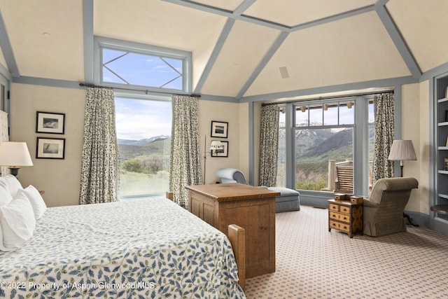 800 Chateau Way, Snowmass, CO 81654 - bedroom with a mountain view, carpet floors, and multiple windows