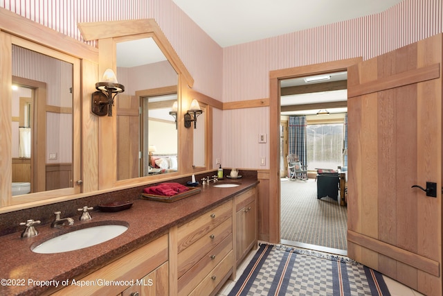 800 Chateau Way, Snowmass, CO 81654 - bathroom featuring vanity and toilet