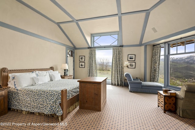 800 Chateau Way, Snowmass, CO 81654 - carpeted bedroom featuring multiple windows and lofted ceiling