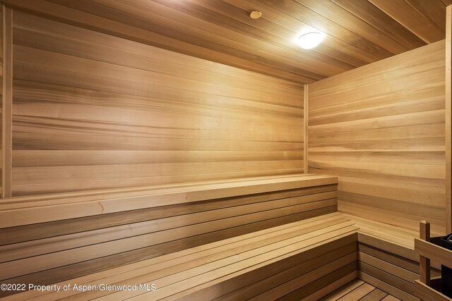 800 Chateau Way, Snowmass, CO 81654 - view of sauna / steam room