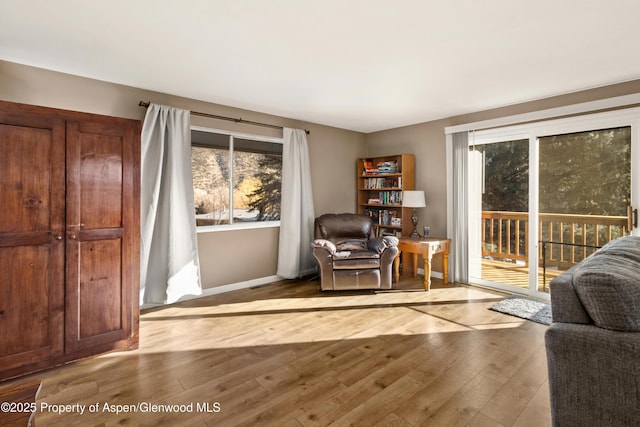 living area featuring wood-type flooring and baseboards