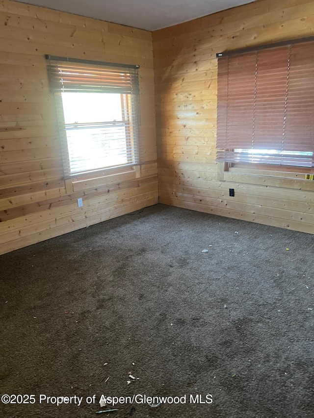 unfurnished room featuring carpet and wooden walls