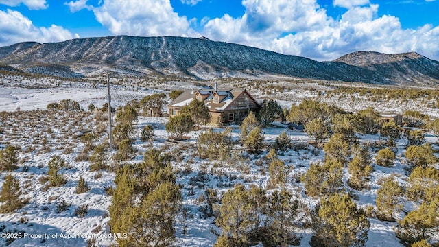 view of mountain feature