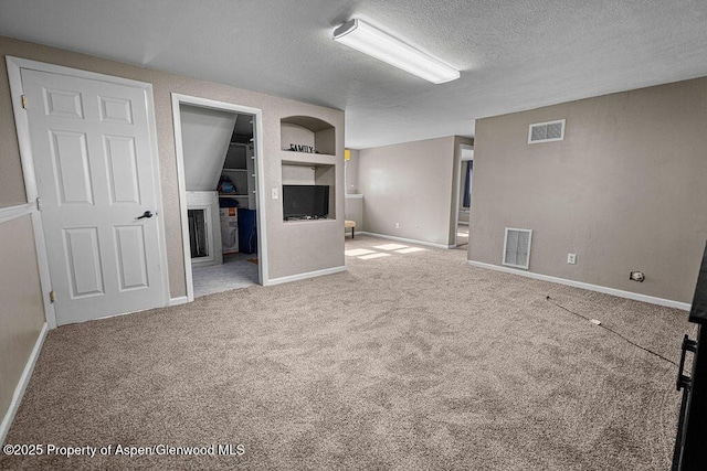 830 Exmoor Rd, Craig, CO 81625 - below grade area with a textured ceiling, carpet flooring, and built in features