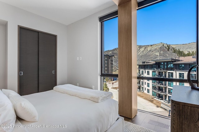 bedroom featuring wood finished floors, a mountain view, and a closet