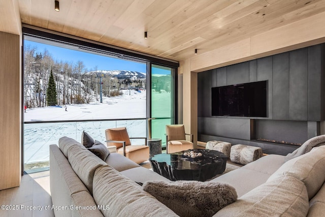 cinema room featuring wooden ceiling