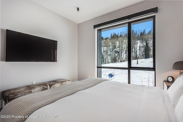bedroom with access to exterior