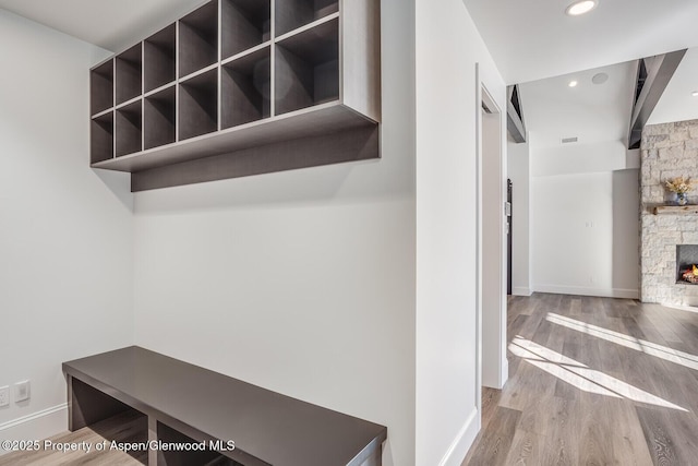 21 Tellico Ct, Carbondale, CO 81623 - mudroom featuring wood finished floors, a fireplace, and recessed lighting