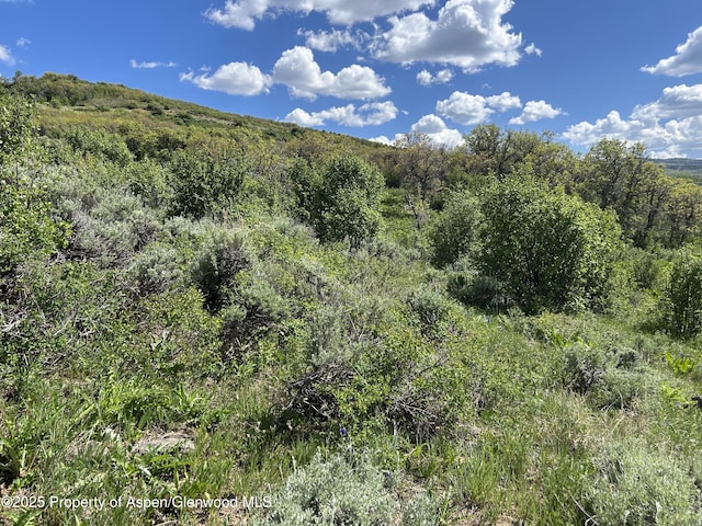 1633 Eagle Loop, Craig, CO 81625