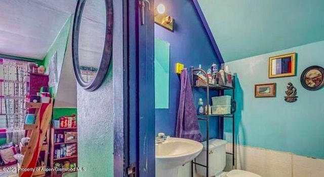 1021 Grand Ave, Glenwood Springs, CO 81601 - bathroom with toilet and lofted ceiling