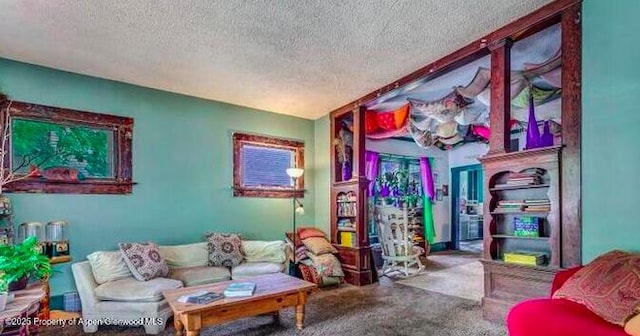 1021 Grand Ave, Glenwood Springs, CO 81601 - carpeted living area featuring a textured ceiling