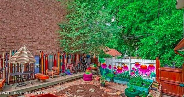 1021 Grand Ave, Glenwood Springs, CO 81601 - view of yard