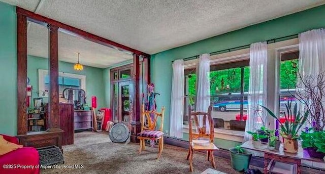 1021 Grand Ave, Glenwood Springs, CO 81601 - living area with healthy amount of natural light, a textured ceiling, and carpet floors
