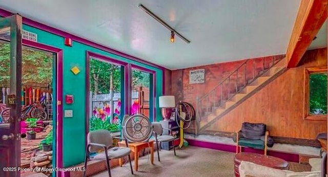 1021 Grand Ave, Glenwood Springs, CO 81601 - rec room with carpet flooring and rail lighting