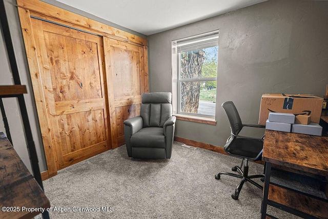 949 Breeze St, Craig, CO 81625 - office area with carpet floors and baseboards