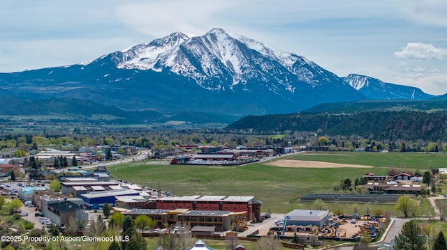 2635 Dolores Way, Carbondale, CO 81623 - mountain view