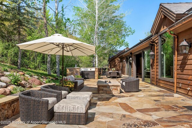 2318 Lazy O Rd, Snowmass, CO 81654 - photo 40