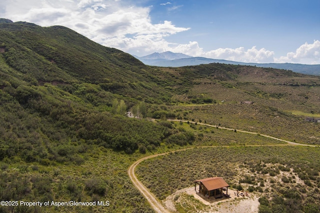 2318 Lazy O Rd, Snowmass, CO 81654 - photo 49