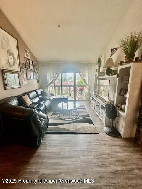 796 Castle Valley Blvd Unit J, New Castle, CO 81647 - living area with lofted ceiling and wood finished floors