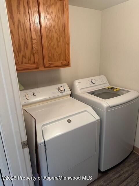 796 Castle Valley Blvd Unit J, New Castle, CO 81647 - laundry room with washer and dryer, cabinet space, and dark wood finished floors