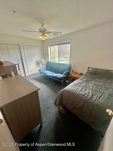 796 Castle Valley Blvd Unit J, New Castle, CO 81647 - bedroom with carpet, multiple closets, and a ceiling fan