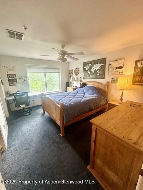 796 Castle Valley Blvd Unit J, New Castle, CO 81647 - carpeted bedroom with a ceiling fan