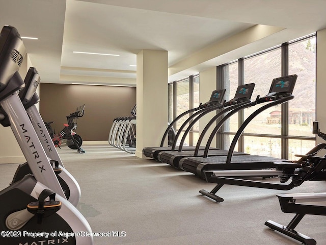 gym with floor to ceiling windows and carpet