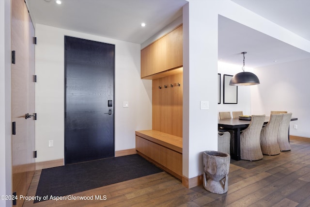 mudroom featuring dark hardwood / wood-style floors