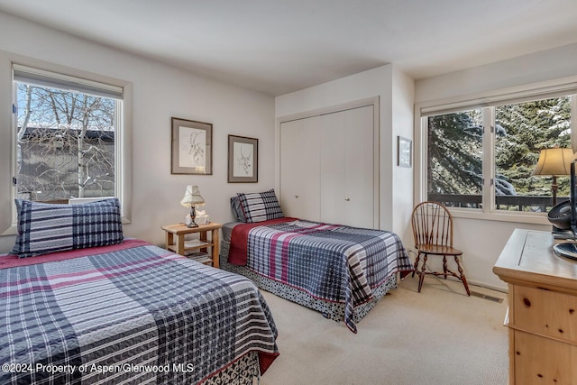 bedroom with carpet flooring and a closet