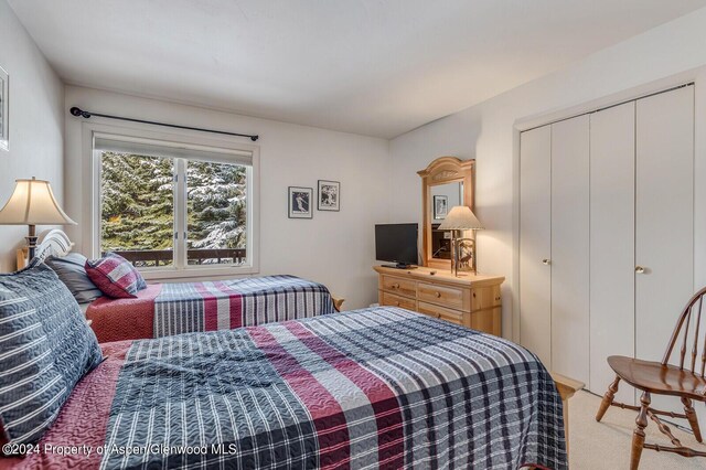 carpeted bedroom with a closet