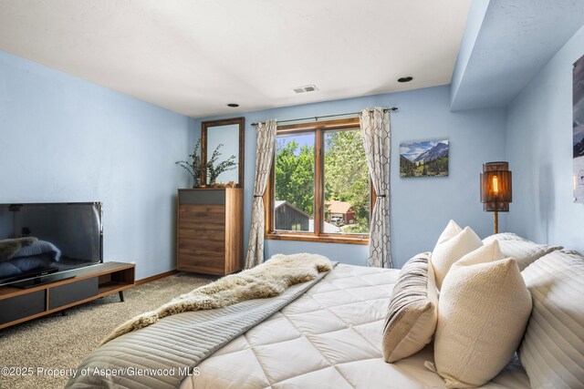 1472 W Main St, Carbondale, CO 81623 - bedroom featuring carpet flooring and baseboards