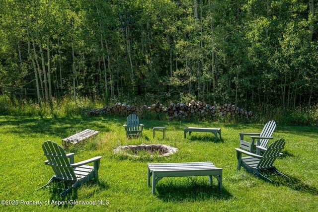 285 Conundrum Rd, Aspen, CO 81611 - photo 20